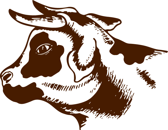 Graphic of a cow