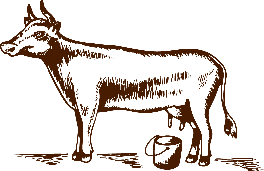 Graphic of a dairy cow