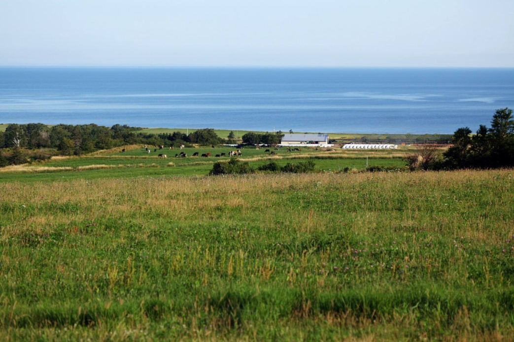 View of Knoydart Dairy farm along the ocean